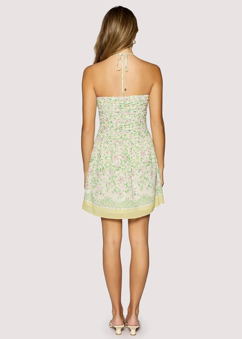wisteria muse mini dress