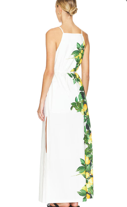 Amanda Uprichard Alicanta Maxi Dress