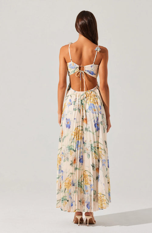 Astr Emese Floral Pleated Maxi Dress