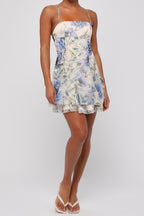 Bria Chiffon Mini Dress